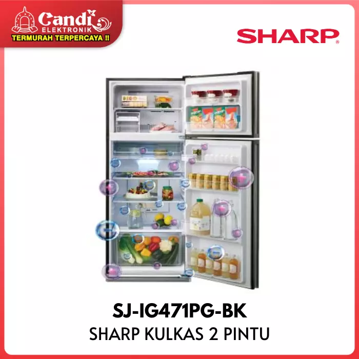 KULKAS BIG REFF 2 PINTU SHARP